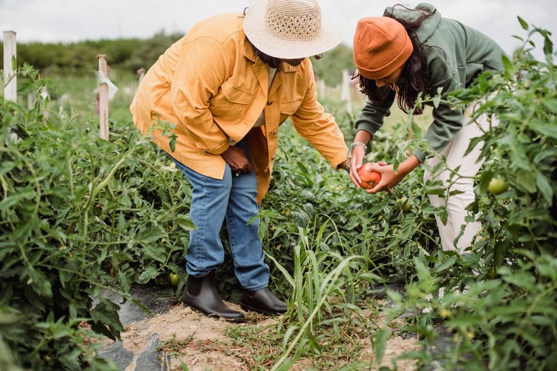 Protecting the Youngest Farmworkers in America.