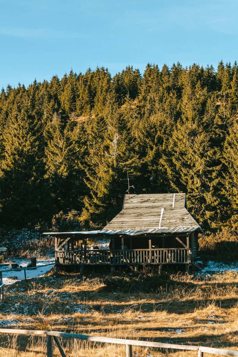 Exploring the Enigmatic Carpathians: A Grand Expedition into the Heart of the Mountains